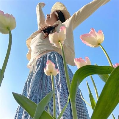 吉什岛的故事